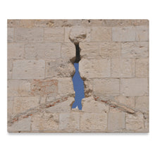 Dove in the Wall Canvas Print